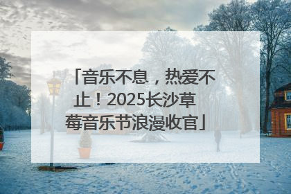 音乐不息，热爱不止！2025长沙草莓音乐节浪漫收官