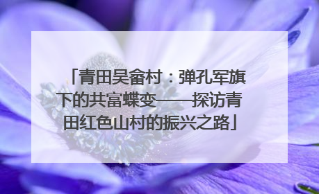 青田吴畲村：弹孔军旗下的共富蝶变——探访青田红色山村的振兴之路