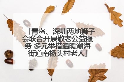 青岛、深圳两地狮子会联合开展敬老公益服务 多元举措温暖潮海街道南杨头村老人