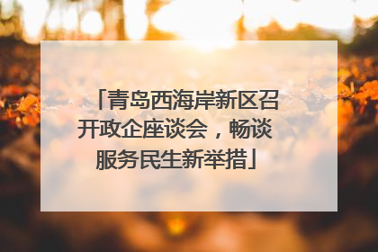 青岛西海岸新区召开政企座谈会，畅谈服务民生新举措