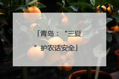 青岛：“三夏”护农话安全