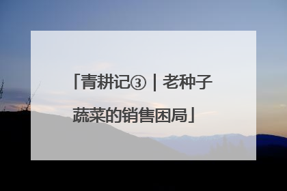 青耕记③｜老种子蔬菜的销售困局