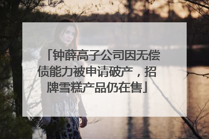 钟薛高子公司因无偿债能力被申请破产，招牌雪糕产品仍在售