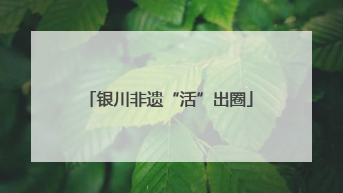 银川非遗“活”出圈