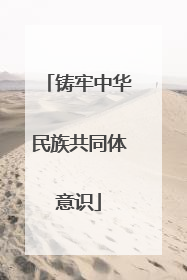 铸牢中华民族共同体意识