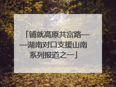 铺就高原共富路——湖南对口支援山南系列报道之一