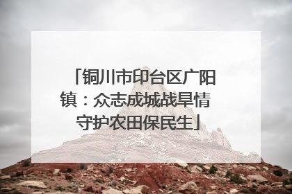 铜川市印台区广阳镇：众志成城战旱情 守护农田保民生