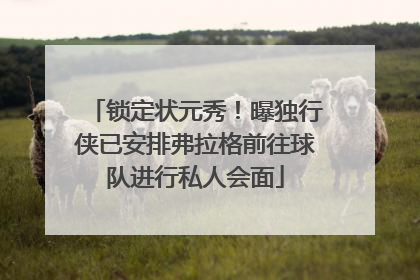 锁定状元秀！曝独行侠已安排弗拉格前往球队进行私人会面
