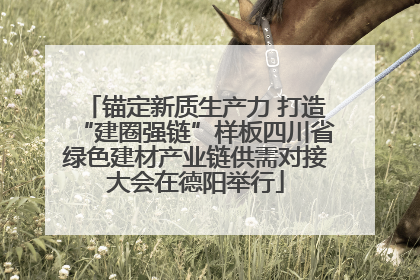 锚定新质生产力 打造“建圈强链”样板四川省绿色建材产业链供需对接大会在德阳举行