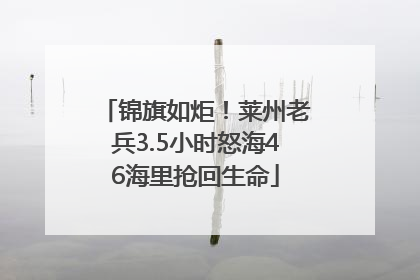 锦旗如炬！莱州老兵3.5小时怒海46海里抢回生命