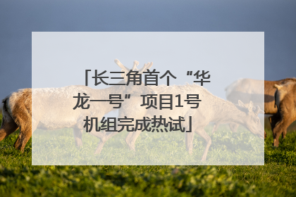 长三角首个“华龙一号”项目1号机组完成热试