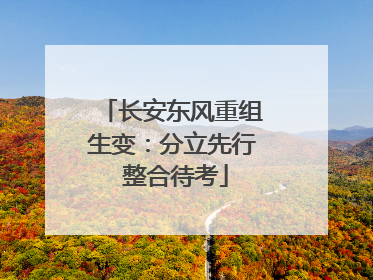 长安东风重组生变：分立先行 整合待考