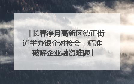 长春净月高新区德正街道举办银企对接会，精准破解企业融资难题