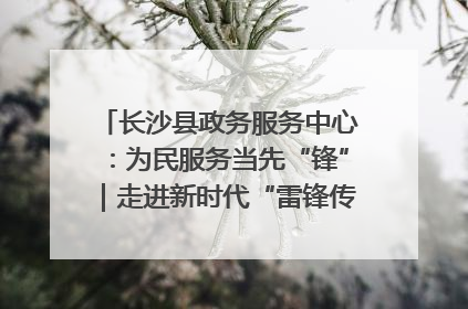 长沙县政务服务中心：为民服务当先“锋”｜走进新时代“雷锋传人 长沙榜样”