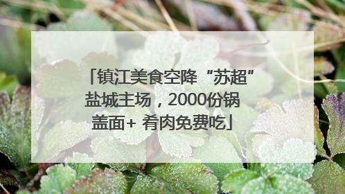 镇江美食空降“苏超”盐城主场，2000份锅盖面+ 肴肉免费吃