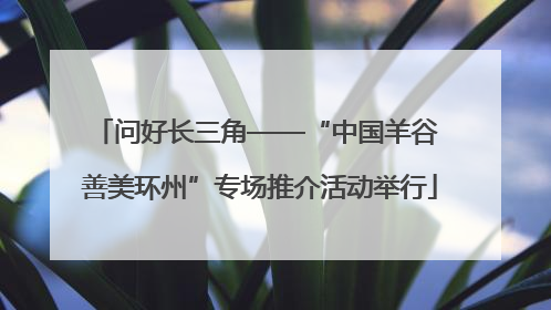 问好长三角——“中国羊谷 善美环州”专场推介活动举行