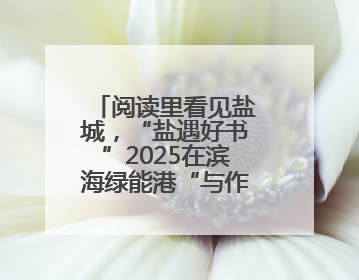 阅读里看见盐城，“盐遇好书”2025在滨海绿能港“与作家共享阅读时光”活动举行