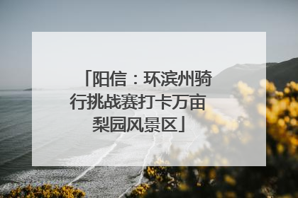 阳信：环滨州骑行挑战赛打卡万亩梨园风景区