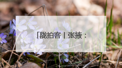 陇拍客丨张掖：以训应“汛”锻造水域救援尖兵