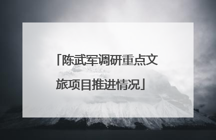 陈武军调研重点文旅项目推进情况