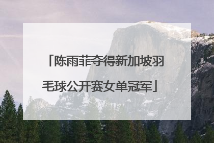 陈雨菲夺得新加坡羽毛球公开赛女单冠军