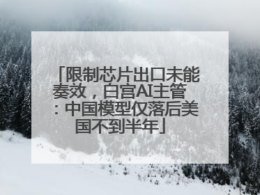 限制芯片出口未能奏效，白宫AI主管：中国模型仅落后美国不到半年