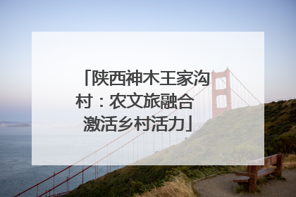 陕西神木王家沟村：农文旅融合 激活乡村活力