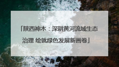 陕西神木：深耕黄河流域生态治理 绘就绿色发展新画卷