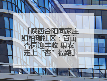 陕西合阳同家庄镇柏瑞社区：百亩杏园迎丰收 果农走上“杏”福路