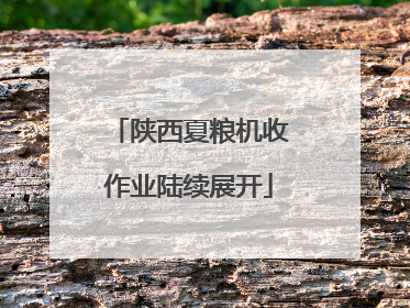 陕西夏粮机收作业陆续展开