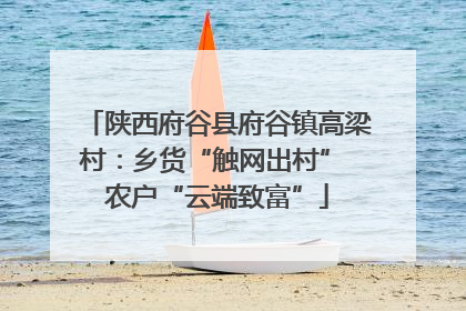 陕西府谷县府谷镇高梁村：乡货“触网出村” 农户“云端致富”