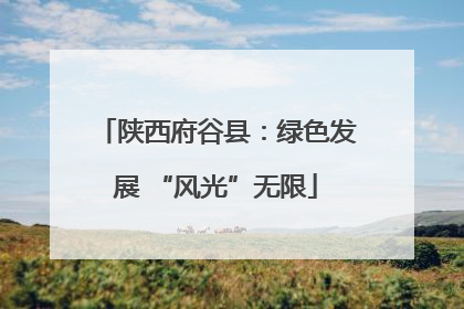 陕西府谷县：绿色发展 “风光”无限