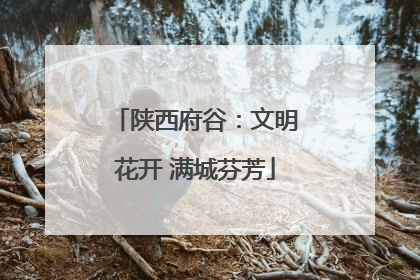 陕西府谷：文明花开 满城芬芳
