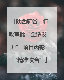 陕西府谷：行政审批“全链发力” 项目齿轮“精准咬合”