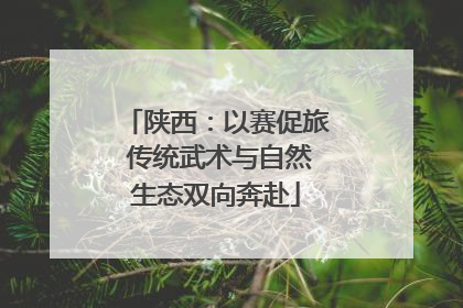 陕西：以赛促旅 传统武术与自然生态双向奔赴