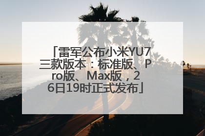 雷军公布小米YU7三款版本：标准版、Pro版、Max版，26日19时正式发布