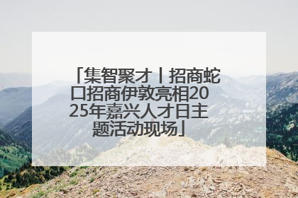 集智聚才丨招商蛇口招商伊敦亮相2025年嘉兴人才日主题活动现场
