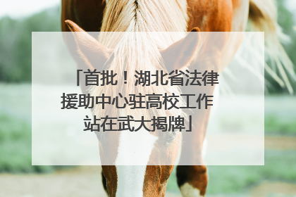 首批！湖北省法律援助中心驻高校工作站在武大揭牌