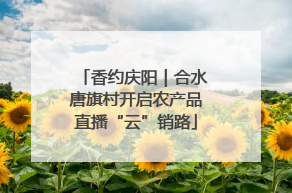 香约庆阳｜合水唐旗村开启农产品直播“云”销路