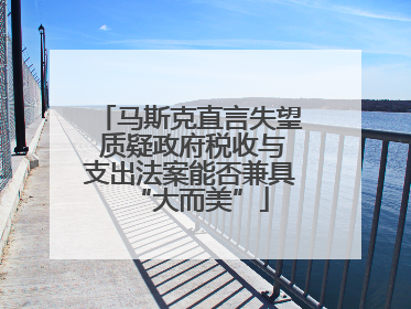 马斯克直言失望 质疑政府税收与支出法案能否兼具“大而美”