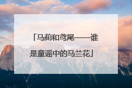 马蔺和鸢尾——谁是童谣中的马兰花