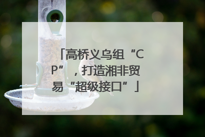 高桥义乌组“CP”，打造湘非贸易“超级接口”