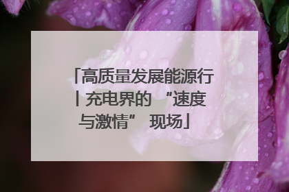 高质量发展能源行丨充电界的 “速度与激情” 现场