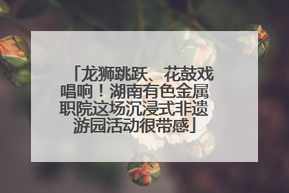 龙狮跳跃、花鼓戏唱响！湖南有色金属职院这场沉浸式非遗游园活动很带感