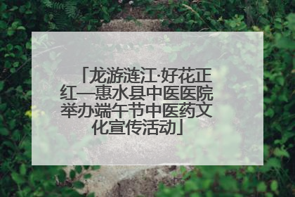 龙游涟江·好花正红—惠水县中医医院举办端午节中医药文化宣传活动