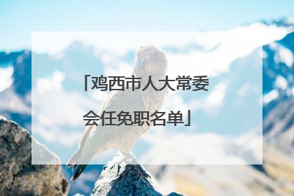 鸡西市人大常委会任免职名单