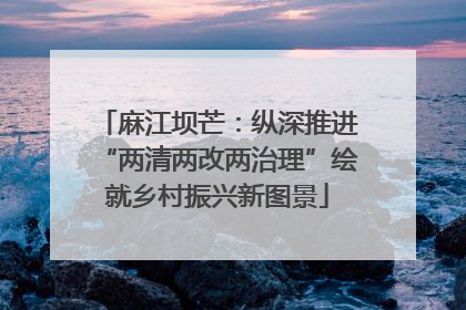 麻江坝芒：纵深推进“两清两改两治理”绘就乡村振兴新图景