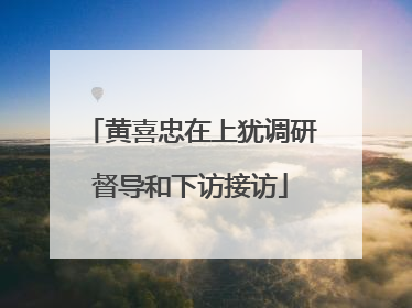 黄喜忠在上犹调研督导和下访接访