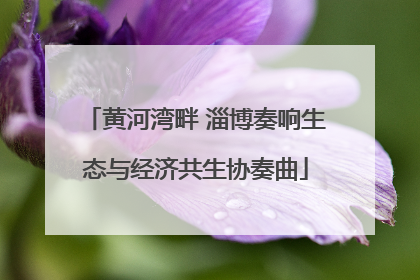 黄河湾畔 淄博奏响生态与经济共生协奏曲