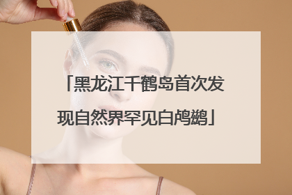 黑龙江千鹤岛首次发现自然界罕见白鸬鹚